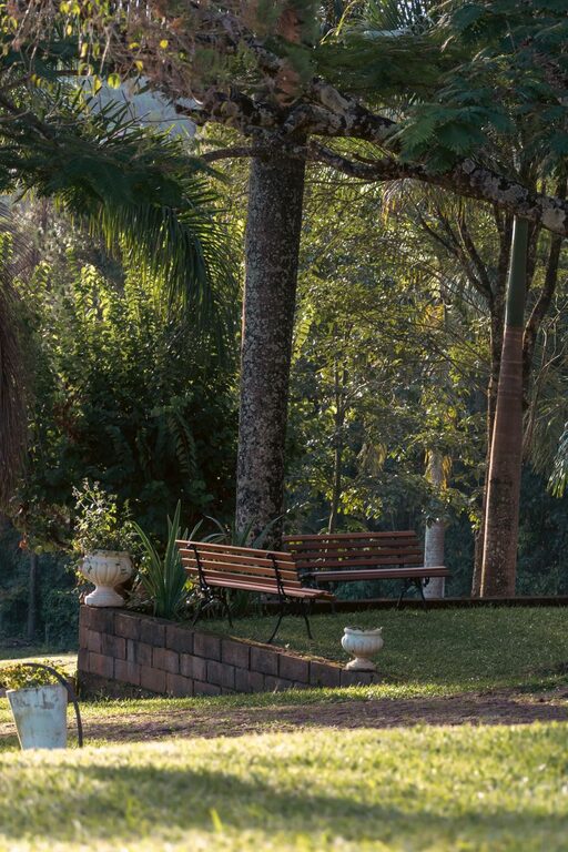 Tips for Creating a Relaxing Outdoor Garden Space at Home